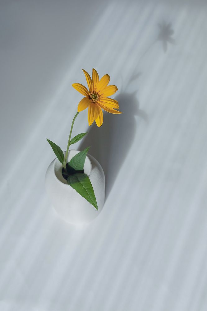 Фотография автора Альбина Кадочникова