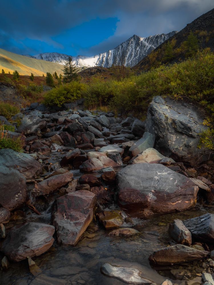 Фотография автора Evgeny Shlomov