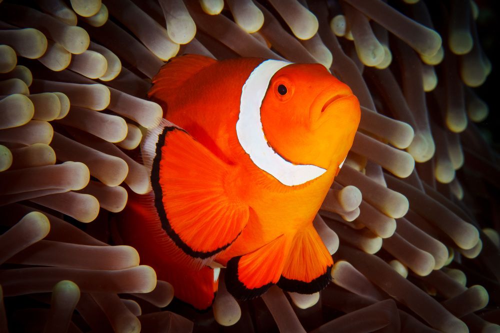 Photograph by Илья Труханов