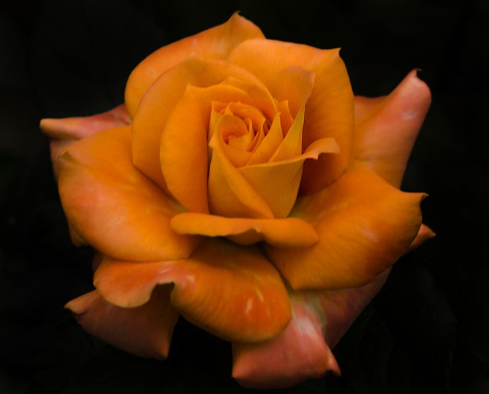 Photograph by Андрей Емельянов