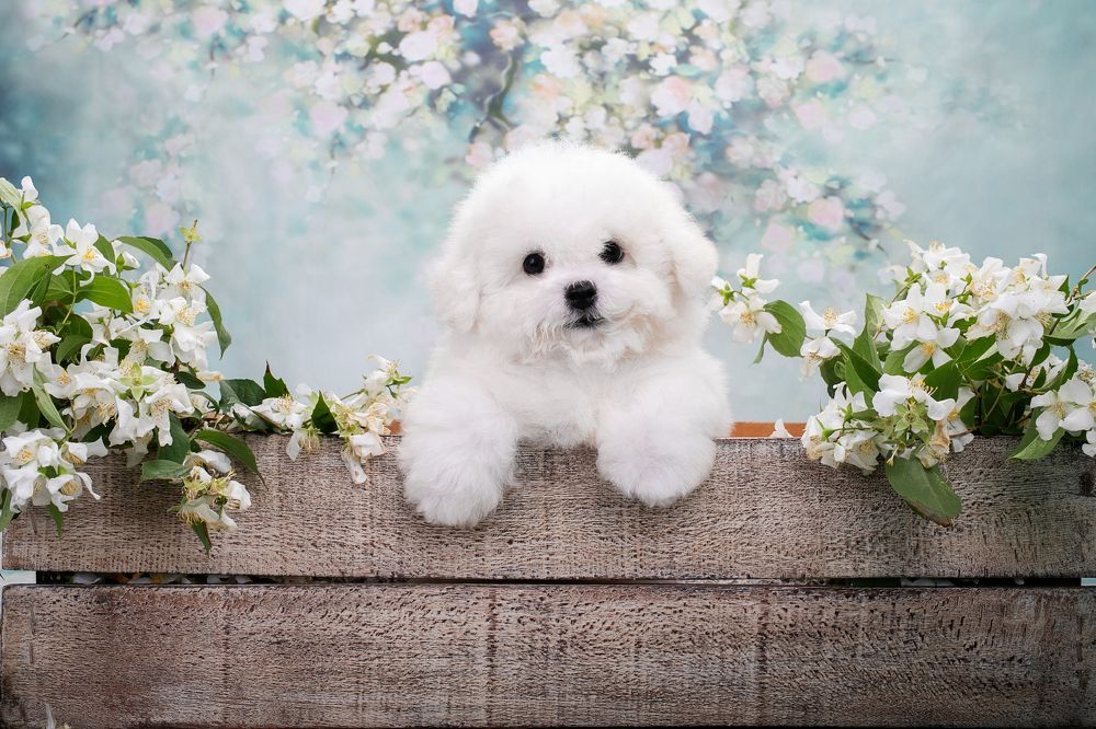 Photograph by Екатерина Терновая