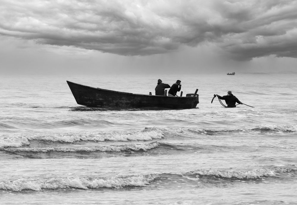 Фотография автора payman Mollaie