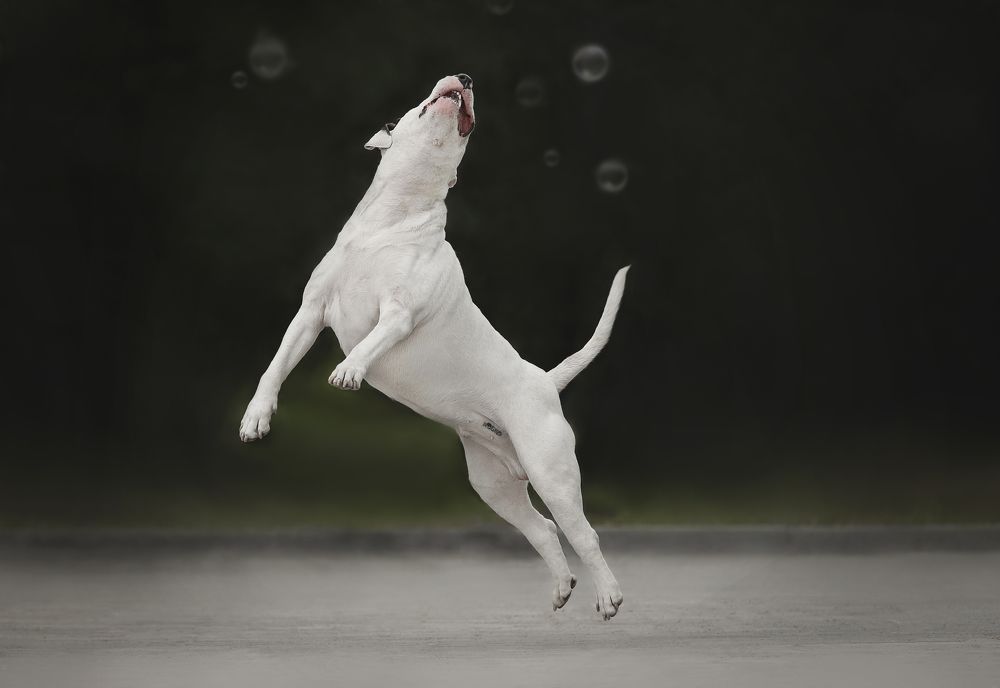 Photograph by Анна Григорьева