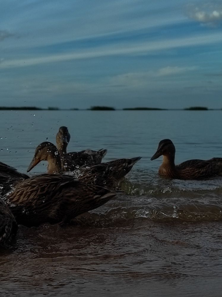 Photograph by Анна Полякова