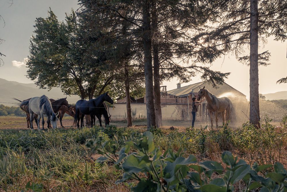 Photograph by Taтьяна Войлокова