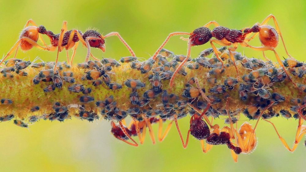 Photograph by Dolphin Huang