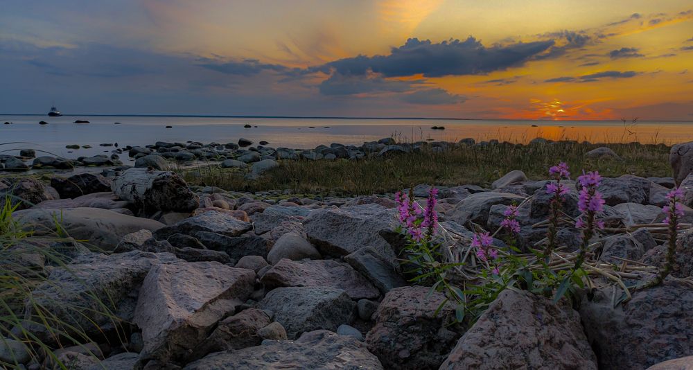 Фотография автора Швайко Михаил