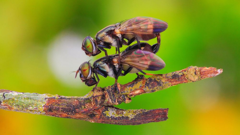 Photograph by Dolphin Huang