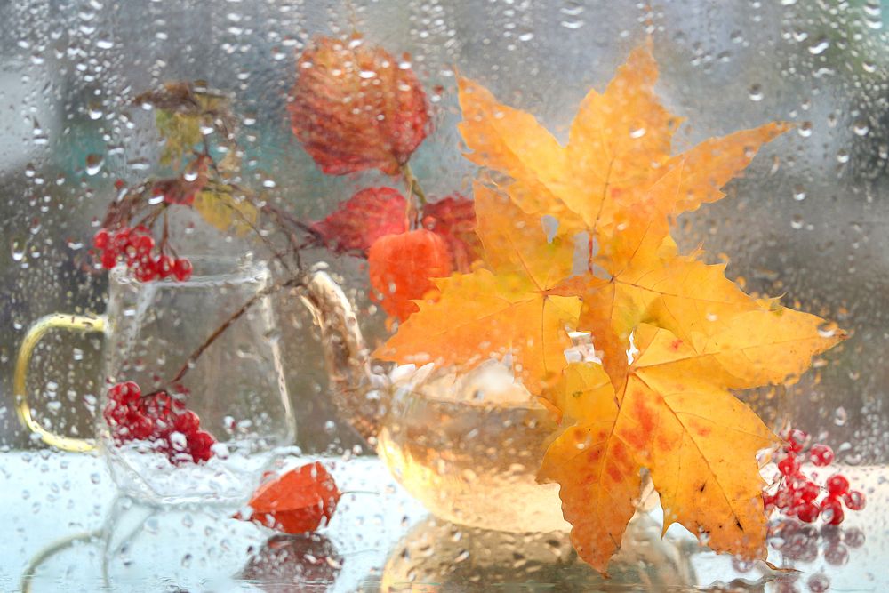 Photograph by Шруб (Беляева) Татьяна