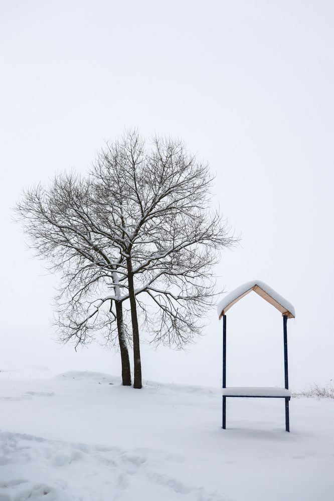 Белым-бело.