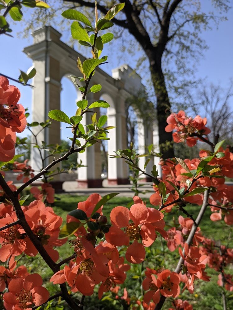 Photograph by Владимир Вялков