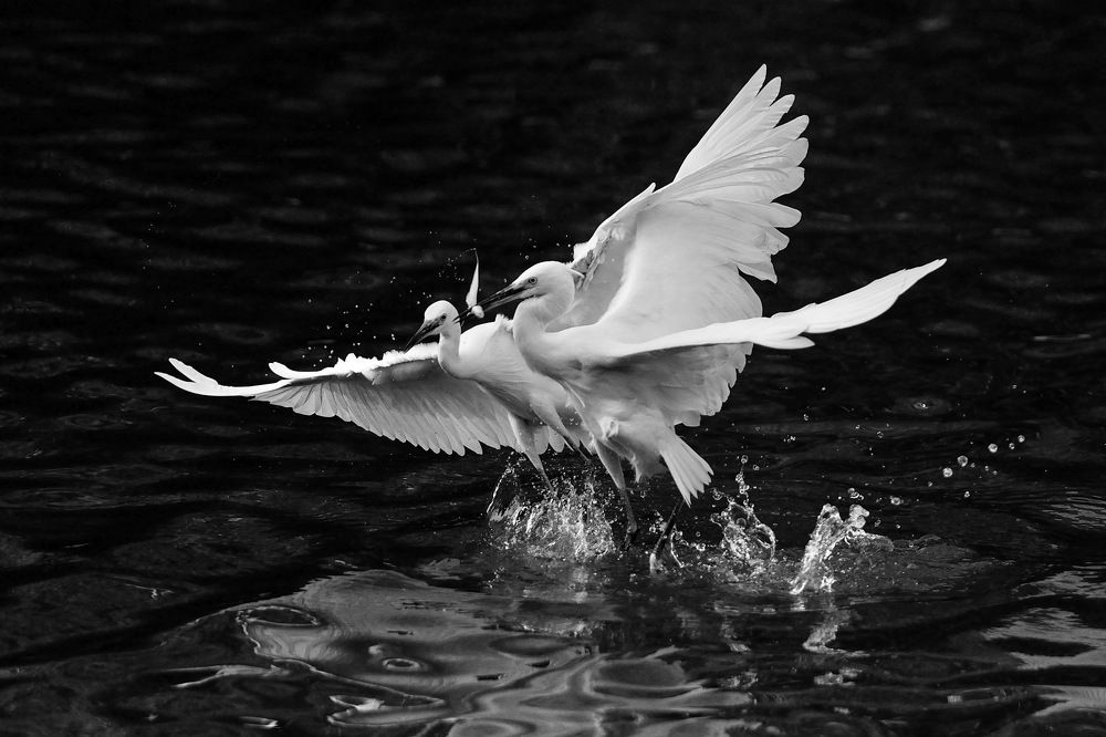 Photograph by Benny Chan