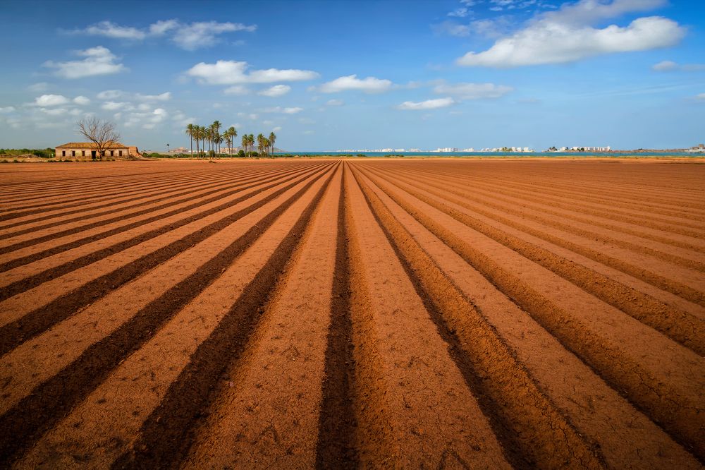 Photograph by Марина Ческис