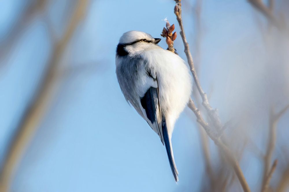 Photograph by Александр Перегудов