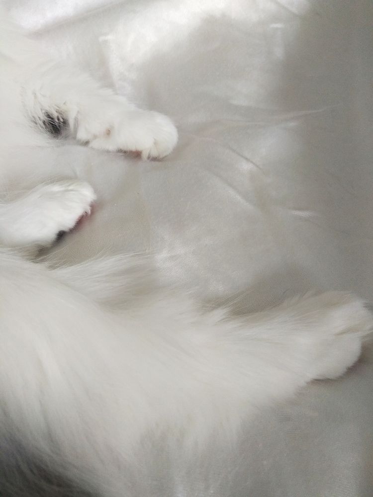 Photograph by Татьяна Кунц