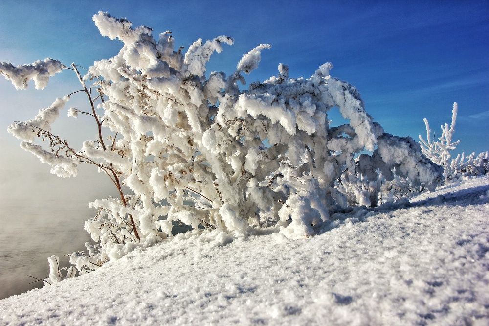 Photograph by Владимир Сушкин