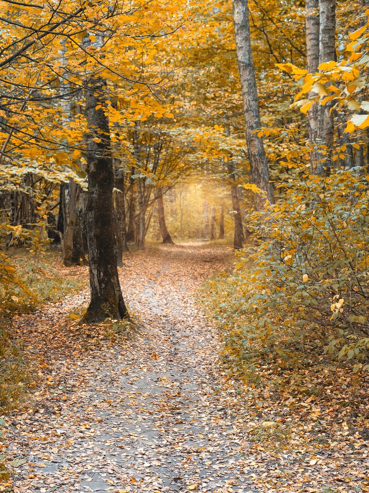 Photograph by Михаил