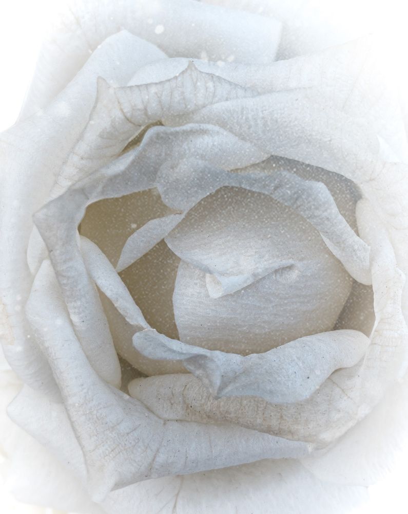 Photograph by Хавронина Марина