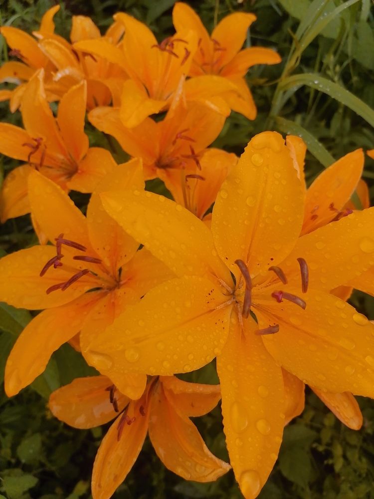 Photograph by Татьяна Бешенкина