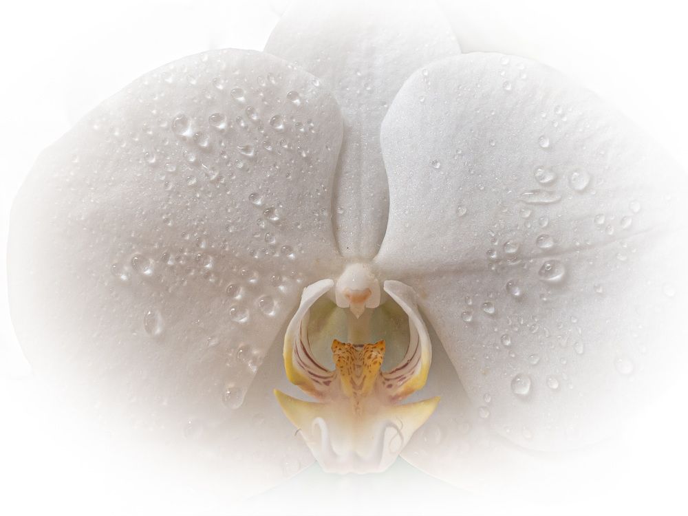 Photograph by Хавронина Марина