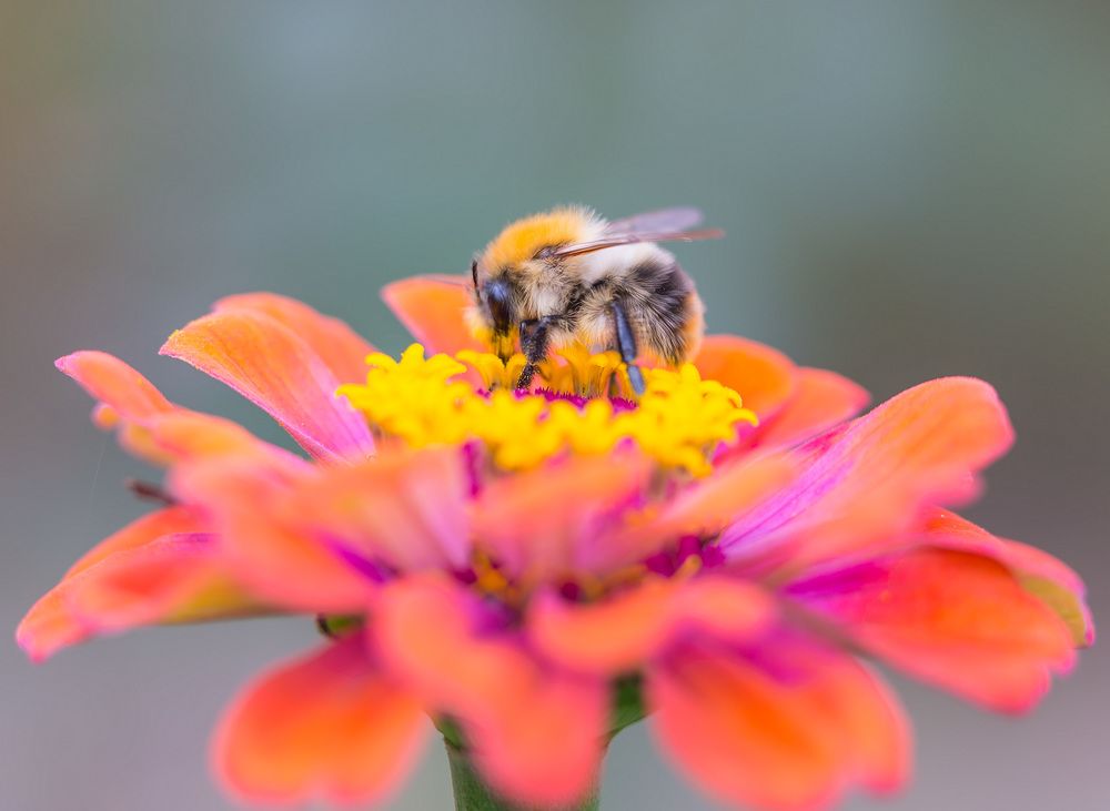 Photograph by Борис Платицин