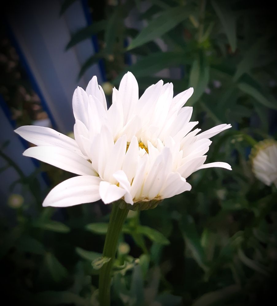 Фотография автора Ирина Лукьянчик