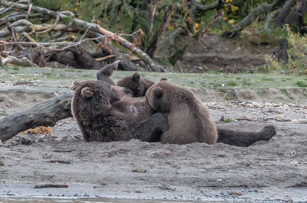 Photograph by Александр Поборчий