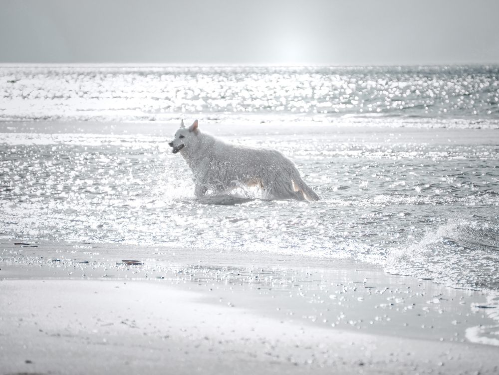 Photograph by Ирина Протченко