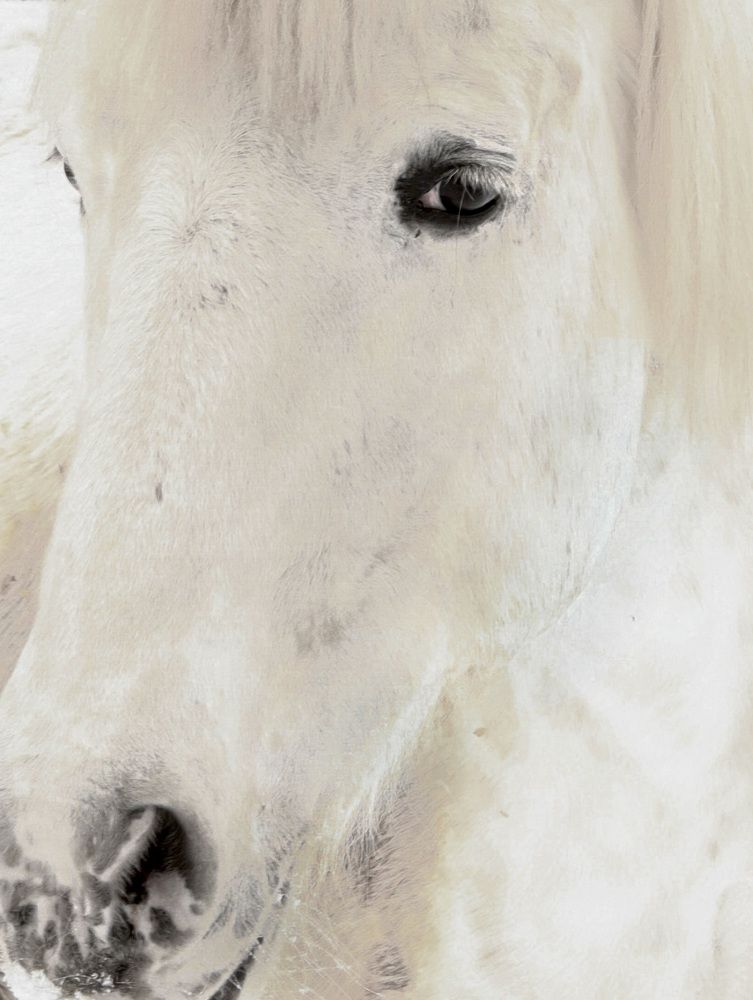 Photograph by Гуляева Светлана