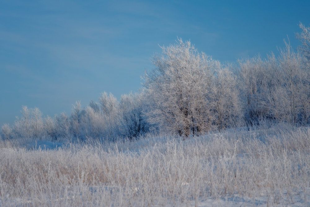 Photograph by Марина Зборацкая