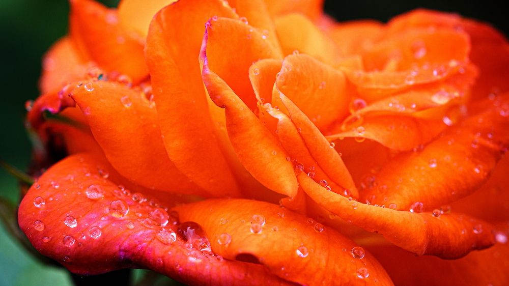 Photograph by Valdis Serzhans