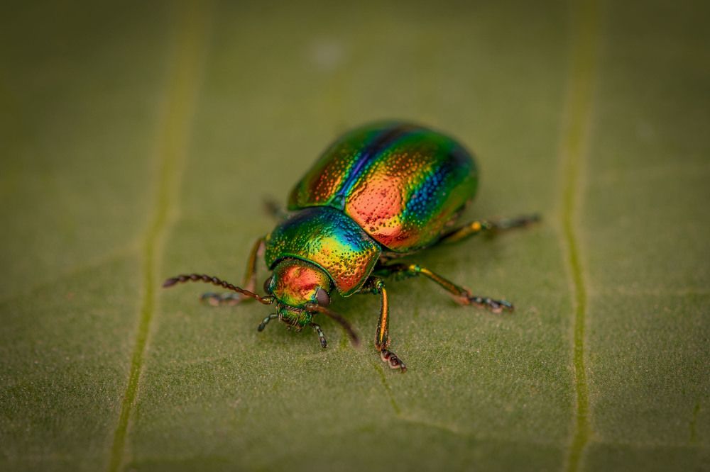 Фотография автора Виталий Сурков