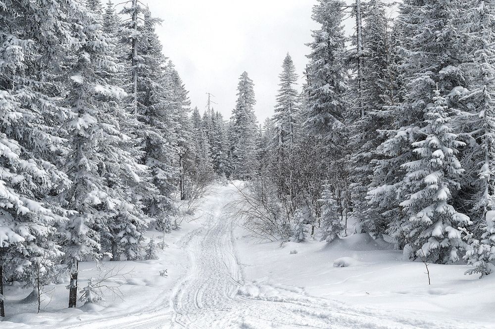 Photograph by Даниил Марков