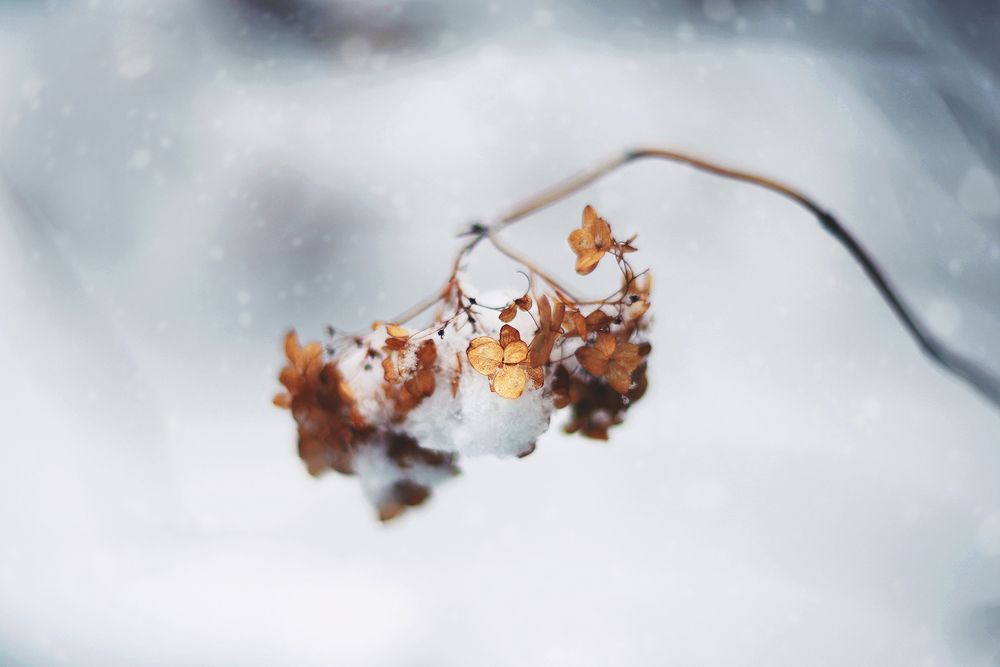 Photograph by Anna Lin