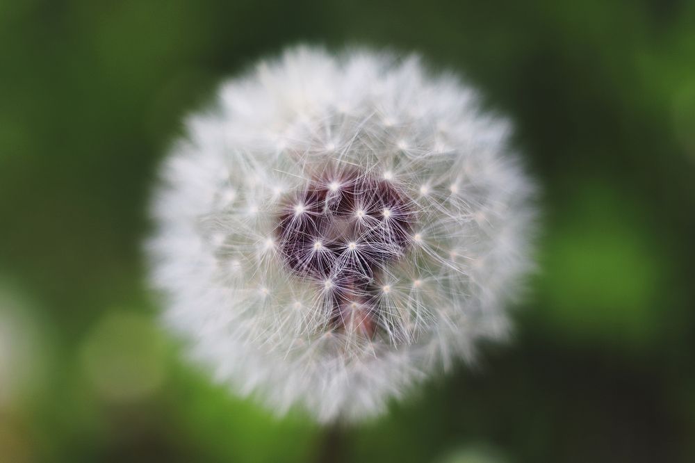 Photograph by Anna Lin