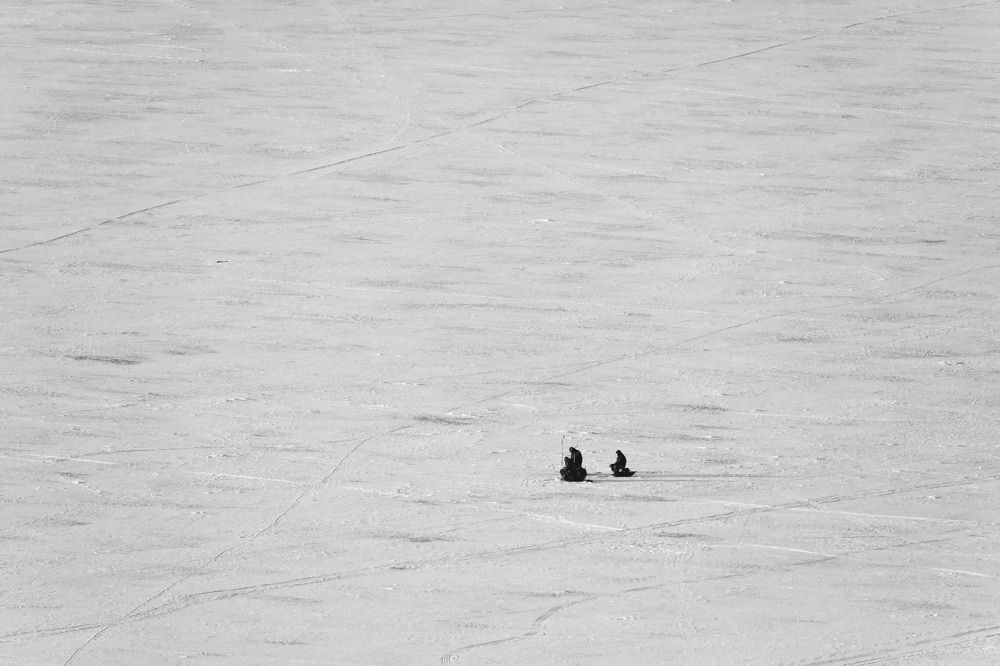 Photograph by Владимир Грибков