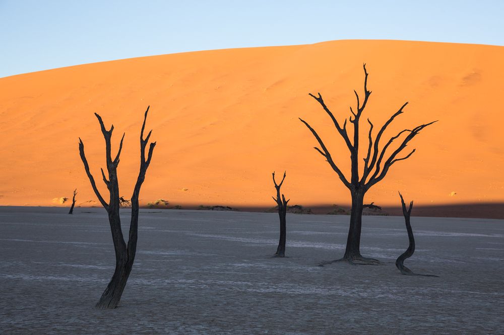 Photograph by Марина Маликова