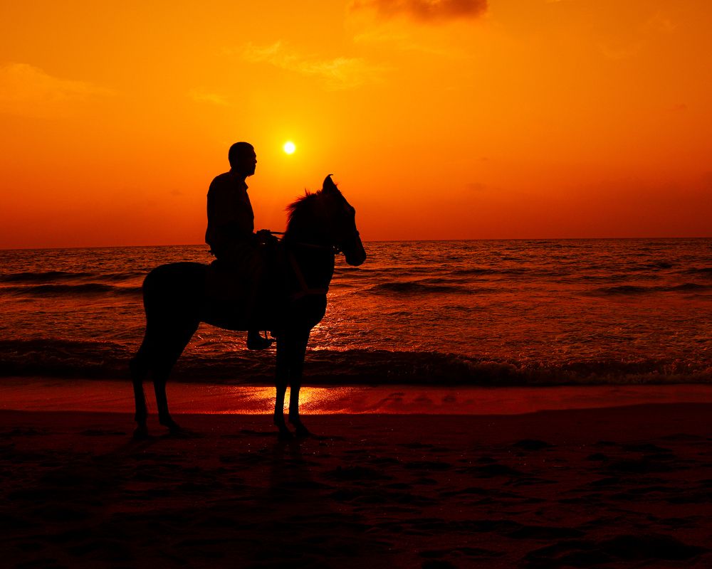 Photograph by sriaravindan
