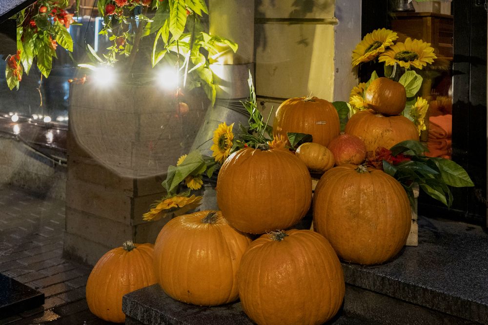 Тыквы на Невском проспекте