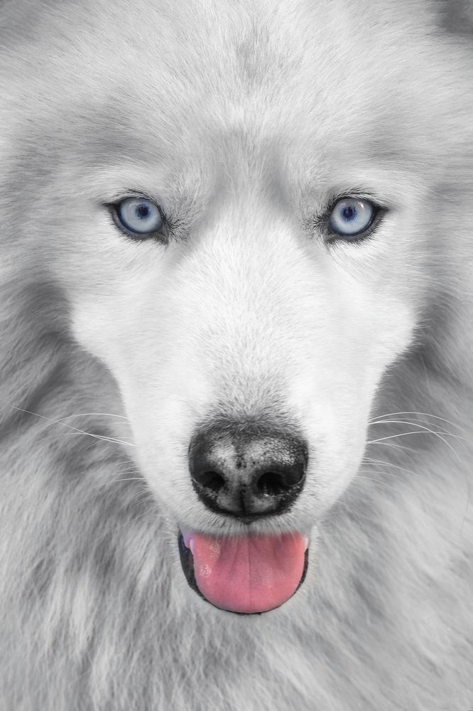 Photograph by Raúl Navarro González