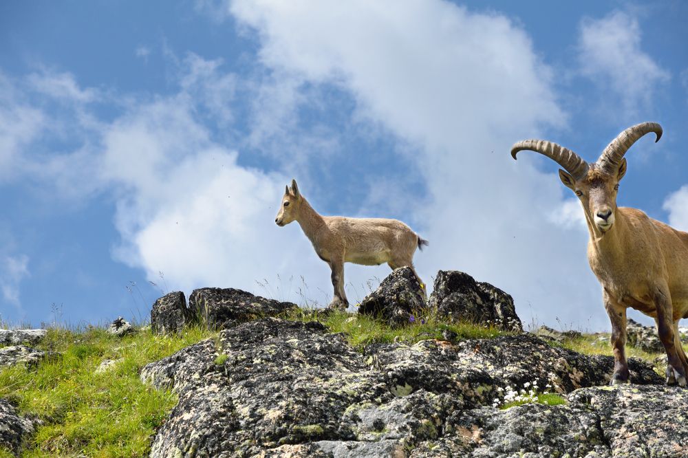 Photograph by Олег Маменко