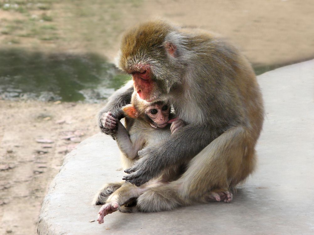 Фотография автора Галина Аверьянова