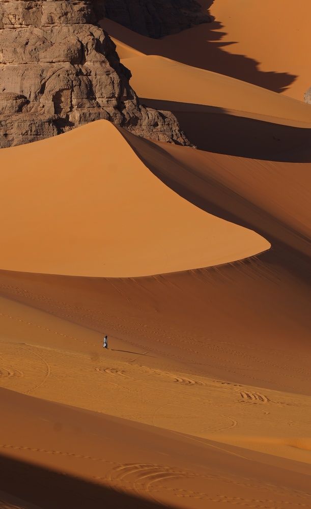 Фотография автора Светлана Зимина