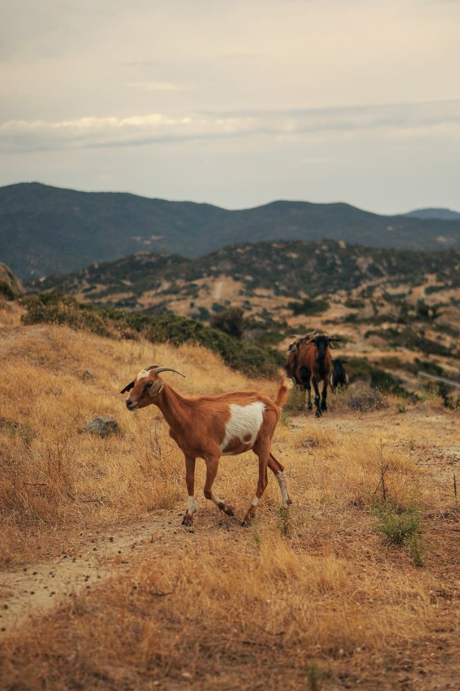 Photograph by Татьяна Александрова