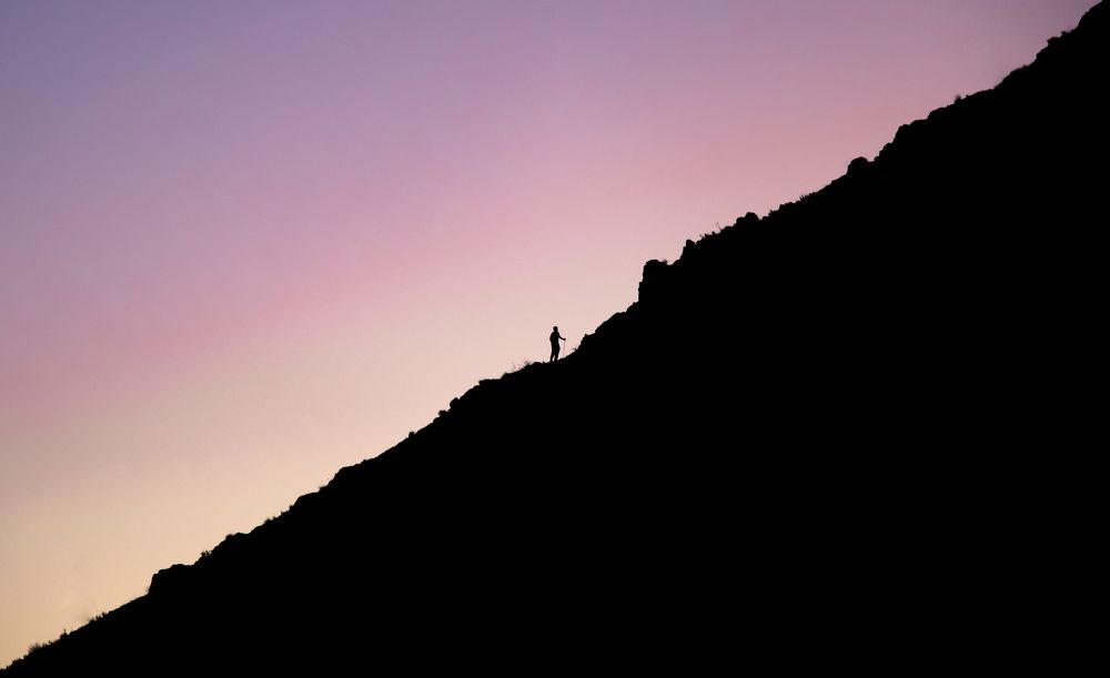 Фотография автора Mohammad Mohseni