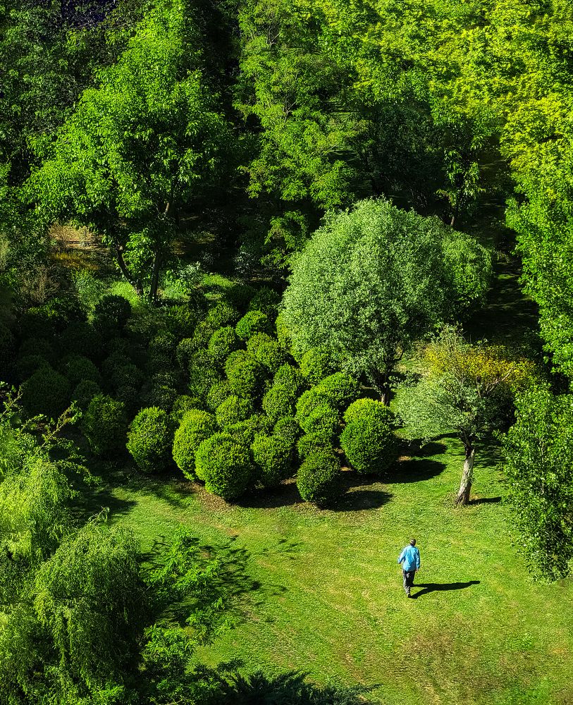 Фотография автора Mohammad Mohseni