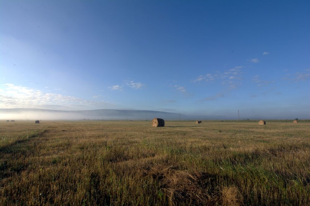 Photograph by Алексей Куренков