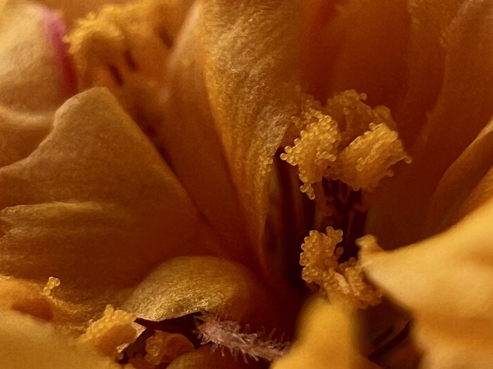 Фотография автора Александра Евченко