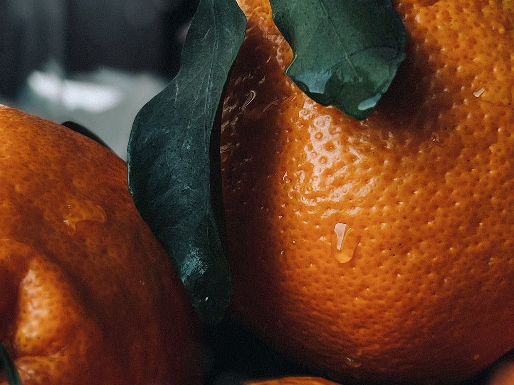 Фотография автора Александра Евченко