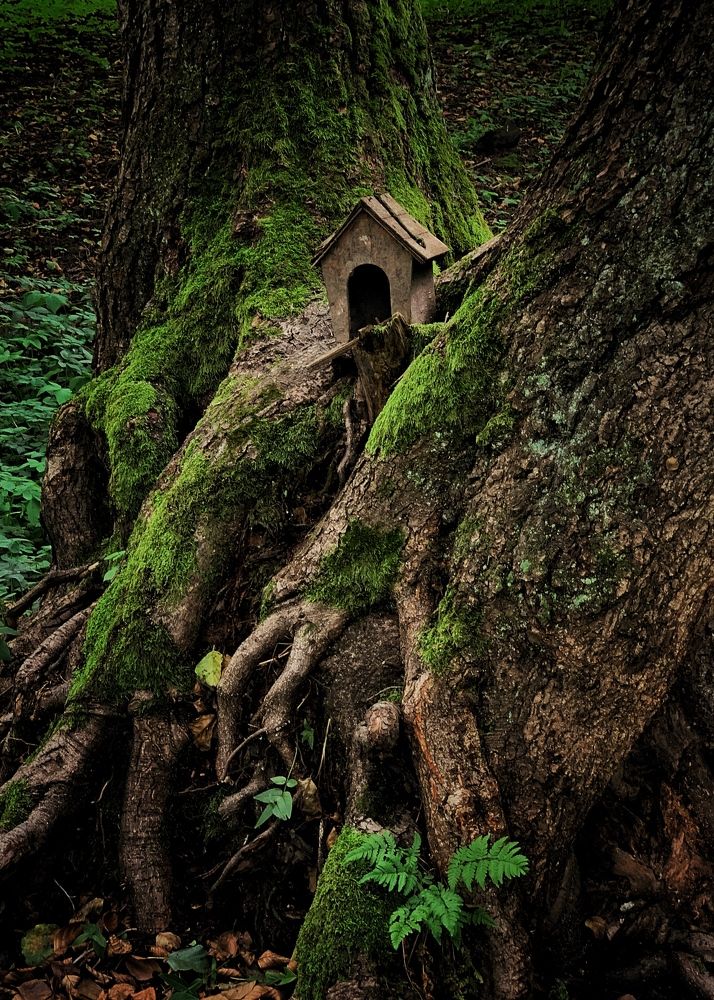 Photograph by Надежда Смирнова